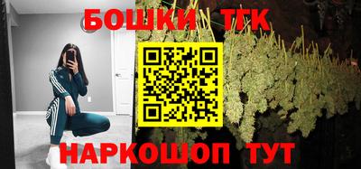 гашик Славгород