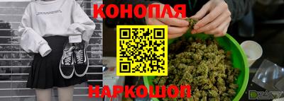 Альфа ПВП Славянск-на-Кубани